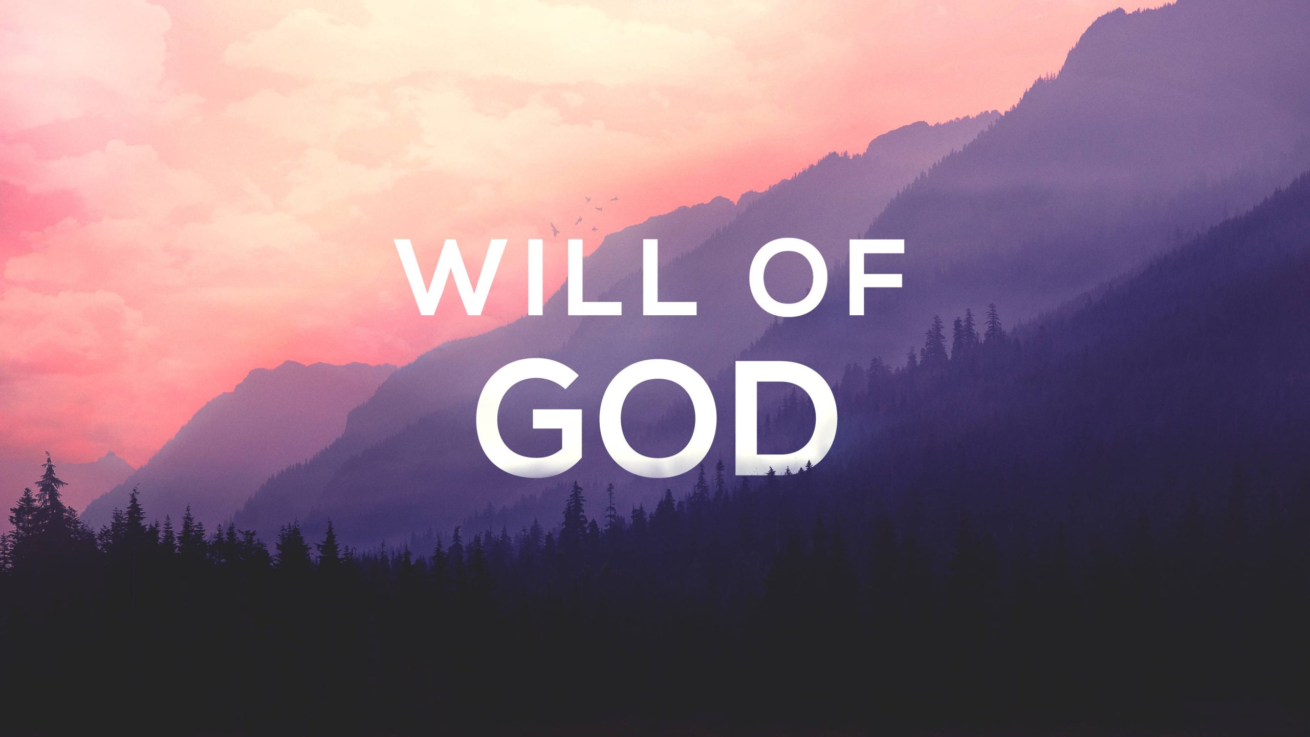 The Will Of God Redeemer Lutheran Church